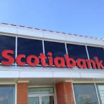 scotia bank